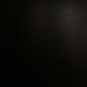 Meet your Posher, Frieda